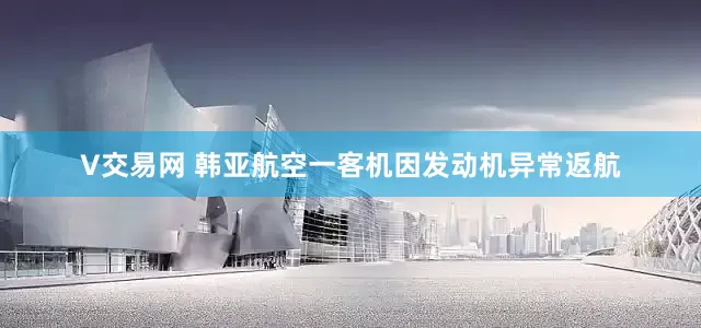 V交易网 韩亚航空一客机因发动机异常返航