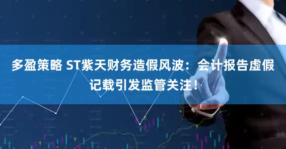 多盈策略 ST紫天财务造假风波：会计报告虚假记载引发监管关注！
