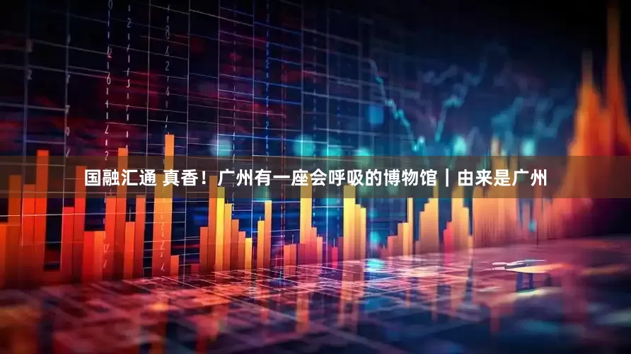 国融汇通 真香！广州有一座会呼吸的博物馆｜由来是广州