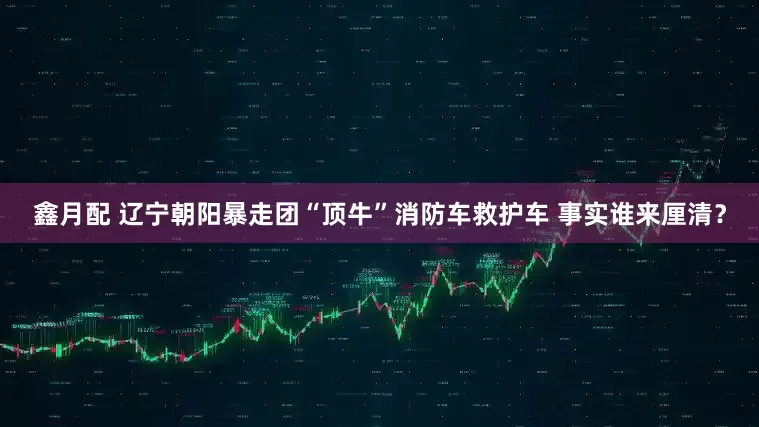 鑫月配 辽宁朝阳暴走团“顶牛”消防车救护车 事实谁来厘清？