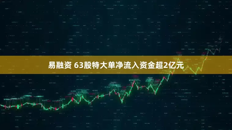 易融资 63股特大单净流入资金超2亿元
